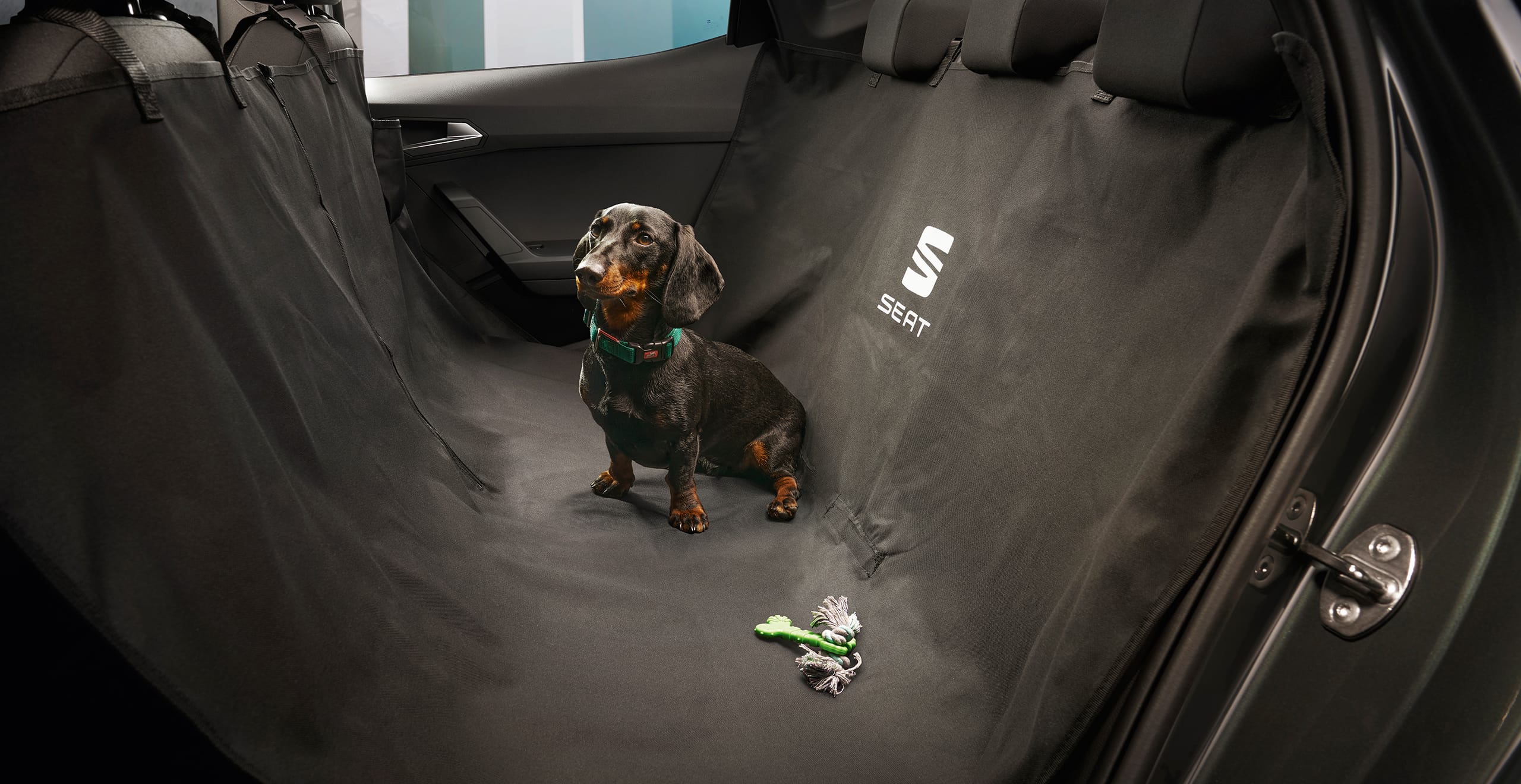 Dog inside of the SEAT Arona with a protective seat cover