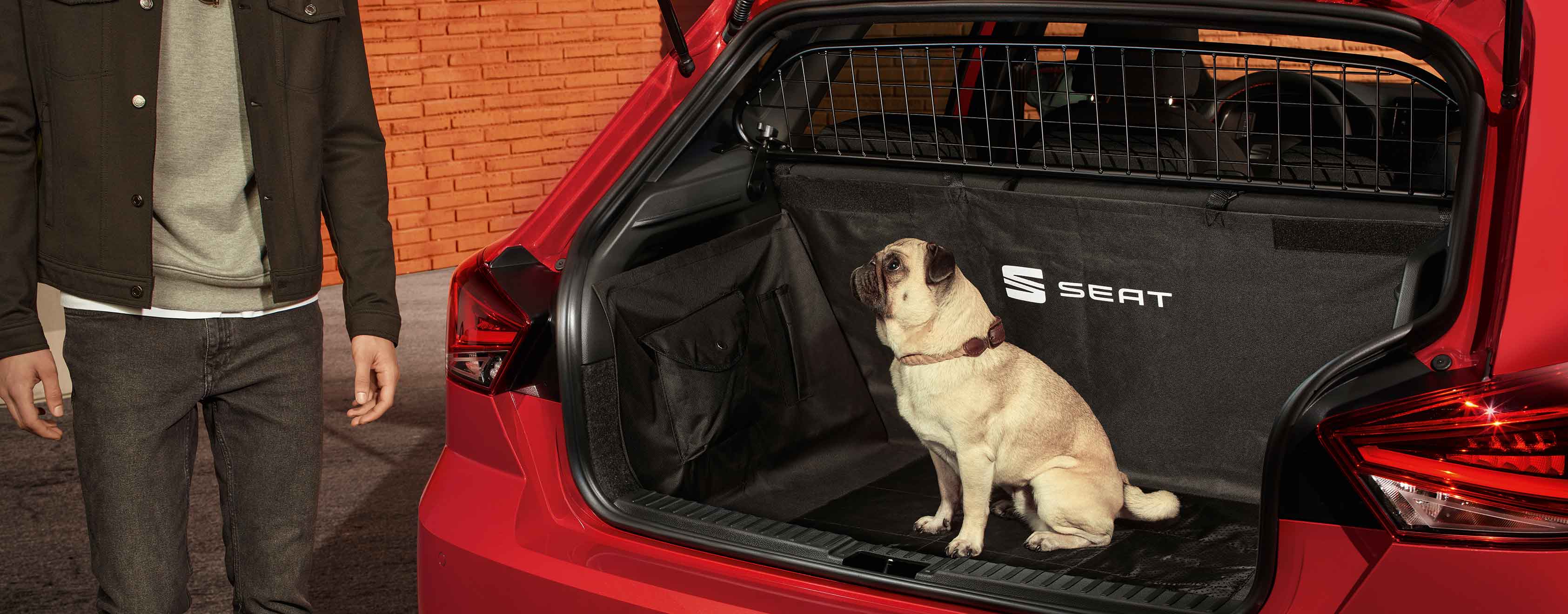 Dog sitting in SEAT Ibiza boot with separation grille